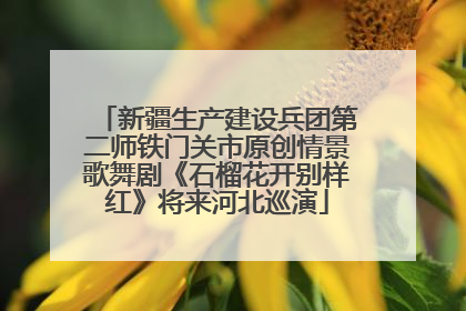 新疆生产建设兵团第二师铁门关市原创情景歌舞剧《石榴花开别样红》将来河北巡演