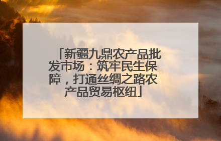 新疆九鼎农产品批发市场：筑牢民生保障，打通丝绸之路农产品贸易枢纽