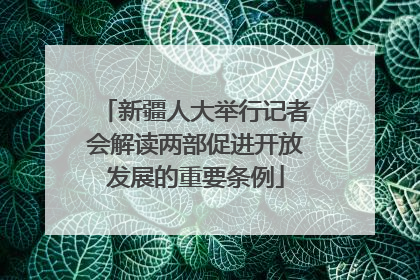 新疆人大举行记者会解读两部促进开放发展的重要条例