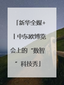 新华全媒+丨中东欧博览会上的“数智”科技秀