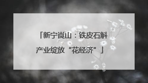 新宁崀山：铁皮石斛产业绽放“花经济”