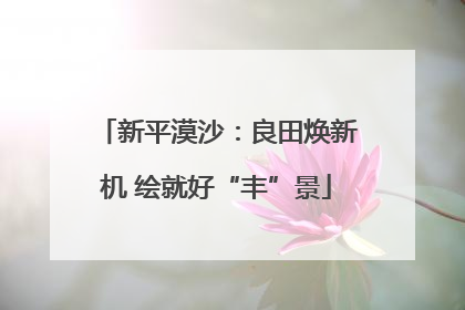 新平漠沙：良田焕新机 绘就好“丰”景