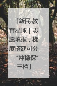 新民·教育星球｜志愿填报，梯度搭建可分“冲稳保”三档