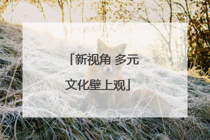 新视角 多元文化壁上观