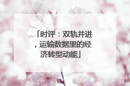 时评：双轨并进，运输数据里的经济转型动能