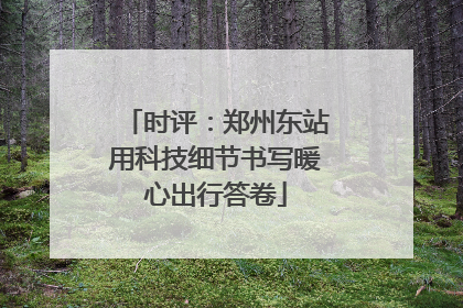 时评：郑州东站用科技细节书写暖心出行答卷