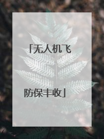 无人机飞防保丰收