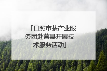 日照市茶产业服务团赴莒县开展技术服务活动