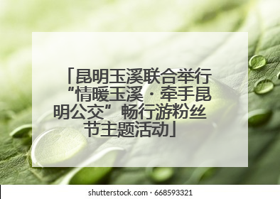 昆明玉溪联合举行“情暖玉溪・牵手昆明公交”畅行游粉丝节主题活动