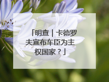 明查｜卡德罗夫宣布车臣为主权国家？