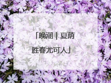 晚潮｜夏荫胜春尤可人