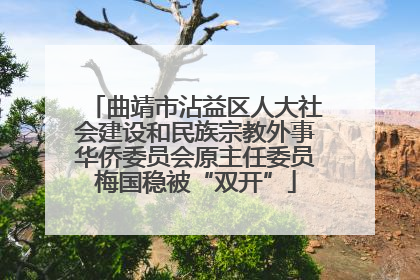 曲靖市沾益区人大社会建设和民族宗教外事华侨委员会原主任委员梅国稳被“双开”
