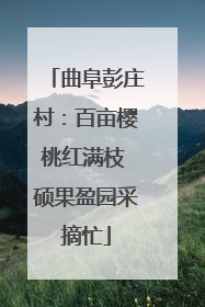 曲阜彭庄村：百亩樱桃红满枝 硕果盈园采摘忙