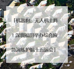机器狗、无人机上阵！深圳福田举办综合应急演练护航十五运会