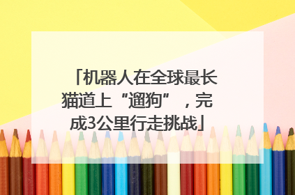 机器人在全球最长猫道上“遛狗”，完成3公里行走挑战