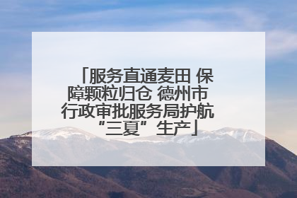 服务直通麦田 保障颗粒归仓 德州市行政审批服务局护航“三夏”生产