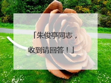 朱俊亭同志，收到请回答！