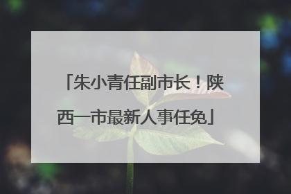 朱小青任副市长！陕西一市最新人事任免