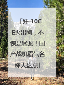 歼-10CE火出圈，不愧是猛龙！国产战机霸气名称大盘点