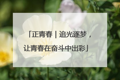 正青春｜追光逐梦，让青春在奋斗中出彩