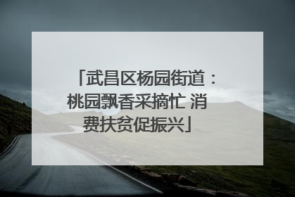 武昌区杨园街道：桃园飘香采摘忙 消费扶贫促振兴