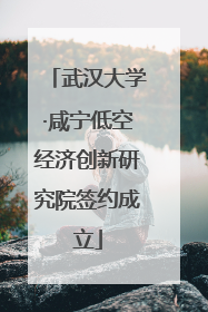 武汉大学·咸宁低空经济创新研究院签约成立