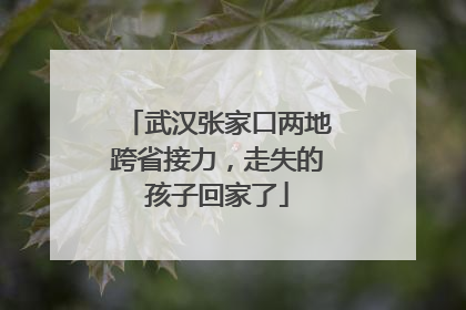 武汉张家口两地跨省接力，走失的孩子回家了