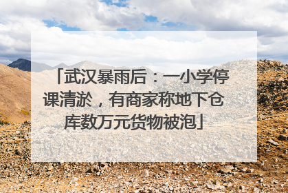 武汉暴雨后：一小学停课清淤，有商家称地下仓库数万元货物被泡