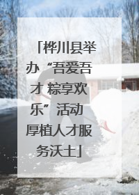 桦川县举办“吾爱吾才 粽享欢乐”活动 厚植人才服务沃土