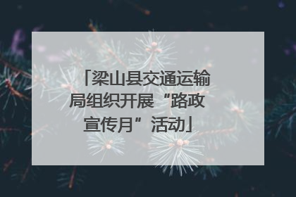梁山县交通运输局组织开展“路政宣传月”活动
