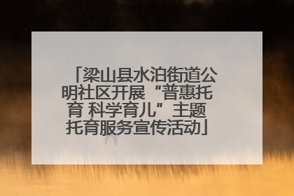 梁山县水泊街道公明社区开展“普惠托育 科学育儿”主题托育服务宣传活动