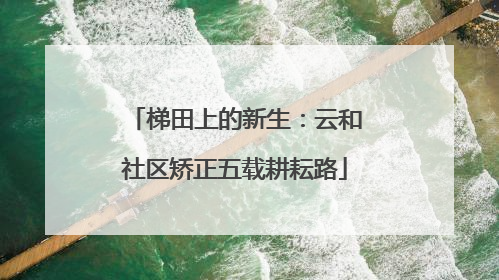 梯田上的新生：云和社区矫正五载耕耘路
