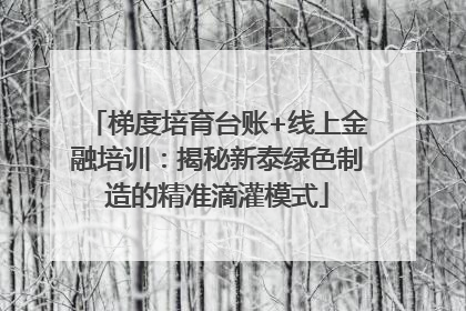 梯度培育台账+线上金融培训：揭秘新泰绿色制造的精准滴灌模式