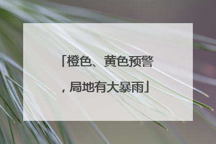 橙色、黄色预警，局地有大暴雨