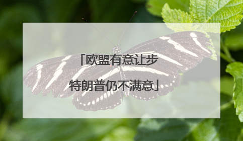 欧盟有意让步 特朗普仍不满意
