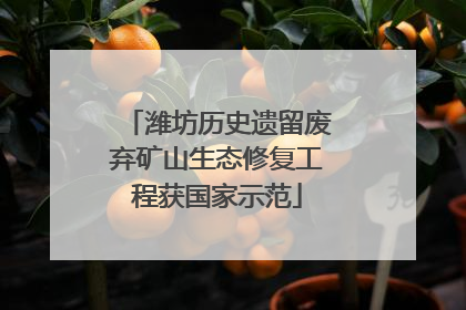 潍坊历史遗留废弃矿山生态修复工程获国家示范