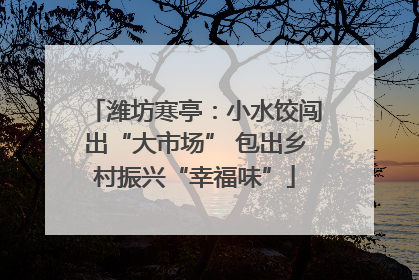潍坊寒亭：小水饺闯出“大市场” 包出乡村振兴“幸福味”