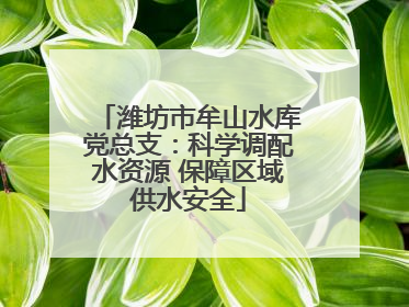 潍坊市牟山水库党总支：科学调配水资源 保障区域供水安全