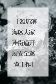 潍坊滨海区大家洼街道开展安全巡查工作