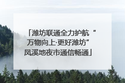 潍坊联通全力护航“万物向上·更好潍坊”凤溪地夜市通信畅通