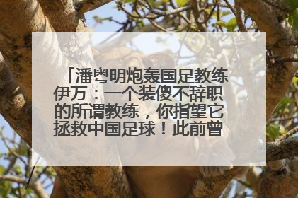 潘粤明炮轰国足教练伊万：一个装傻不辞职的所谓教练，你指望它拯救中国足球！此前曾多次发文评价国足