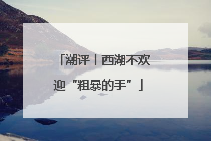 潮评丨西湖不欢迎“粗暴的手”