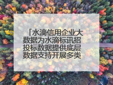 水滴信用企业大数据为水滴标讯招投标数据提供底层数据支持开展多类型服务
