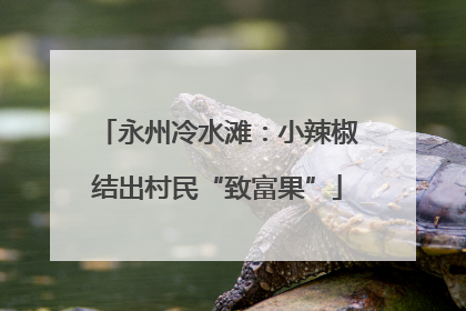 永州冷水滩：小辣椒结出村民“致富果”