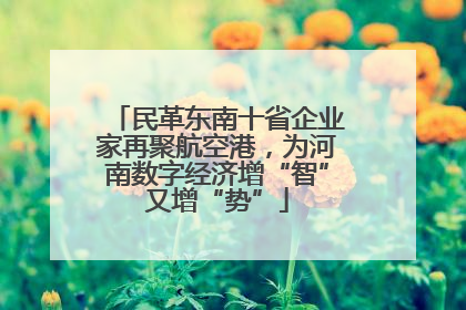 民革东南十省企业家再聚航空港，为河南数字经济增“智”又增“势”