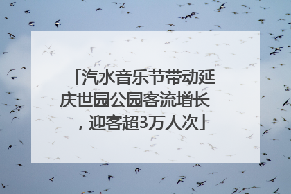 汽水音乐节带动延庆世园公园客流增长，迎客超3万人次