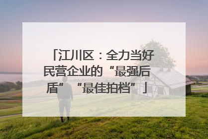江川区：全力当好民营企业的“最强后盾”“最佳拍档”