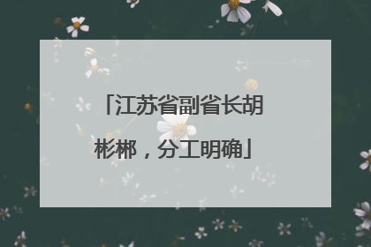 江苏省副省长胡彬郴，分工明确