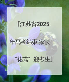 江苏省2025年高考结束 家长“花式”迎考生