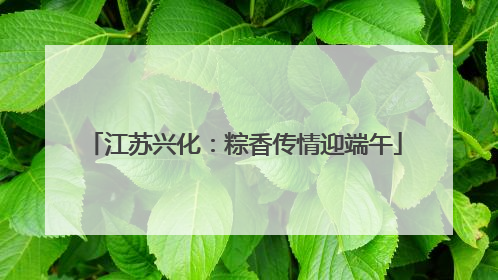 江苏兴化：粽香传情迎端午